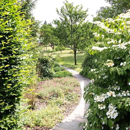 Chaloupka * Křivoklát